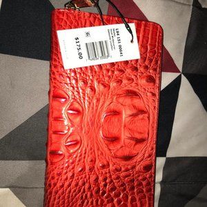 brahmin clutch